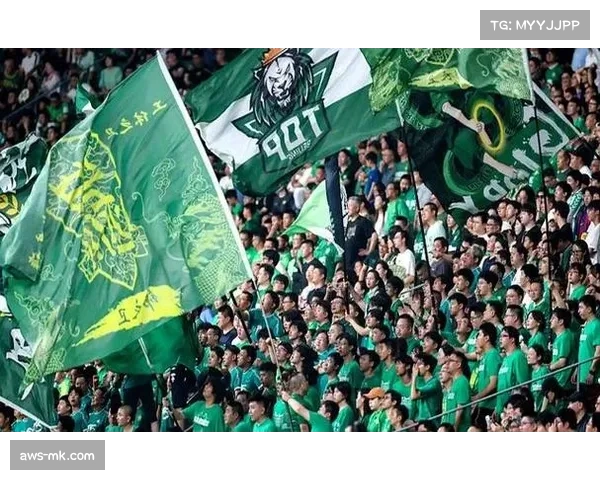 北京国安法比奥大腿拉伤缺阵 锋线仅靠张玉宁独撑